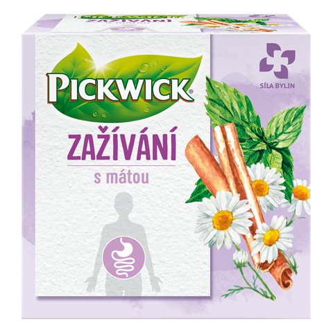 PICKWICK FUNKČNÍ ZAŽÍVÁNÍ - 10 X 2 G X 16