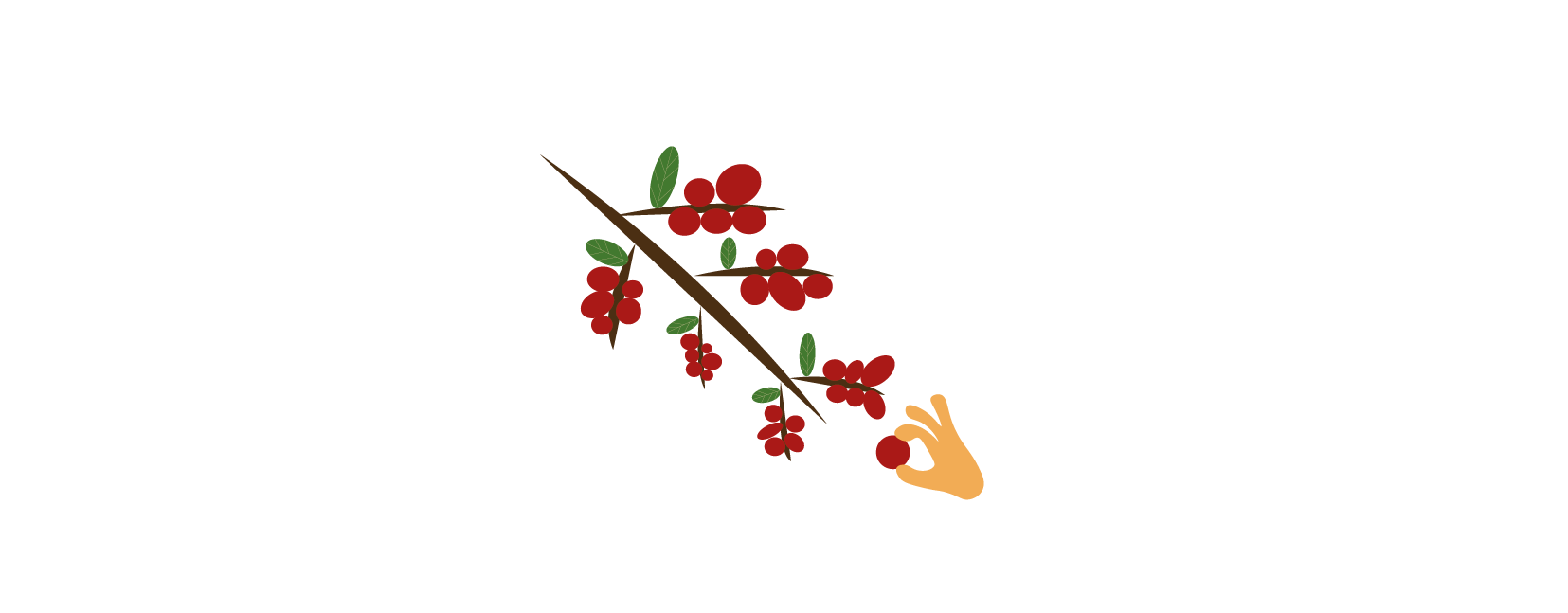CZ Step 1